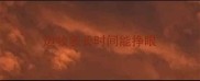 边牧多长时间能挣眼