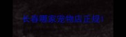 长春哪家宠物店正规