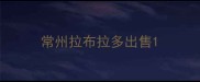 常州拉布拉多出售