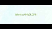 狼和哈士奇有区别吗