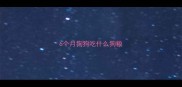 6个月狗狗吃什么狗粮