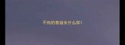 不纯的泰迪长什么样