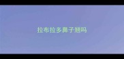 拉布拉多鼻子翘吗