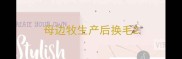 母边牧生产后换毛