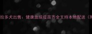 大庆优质拉布拉多犬出售健康血统疫苗齐全支持本地配送附选购指南