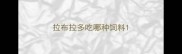 拉布拉多吃哪种饲料