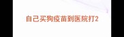 自己买狗疫苗到医院打