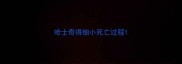 哈士奇得细小死亡过程