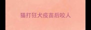 猫打狂犬疫苗后咬人