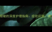 拉布拉多犬下颌皮肤褶皱的深度护理指南症状识别清洁技巧与疾病预防全