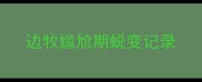 边牧尴尬期蜕变记录