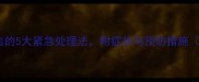 哈士奇拉稀出血的5大紧急处理法附症状与预防措施附兽医建议