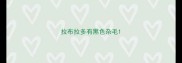 拉布拉多有黑色杂毛