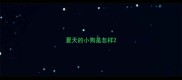 夏天的小狗是怎样