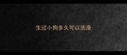 生过小狗多久可以洗澡