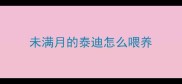 未满月的泰迪怎么喂养