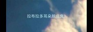 拉布拉多耳朵脱皮臭