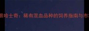 三火蓝眼哈士奇稀有混血品种的饲养指南与市场价值