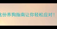 毛色不纯泰迪怎么养这份养狗指南让你轻松应对附选狗护理训练全攻略