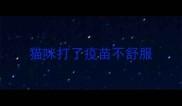 猫咪打了疫苗不舒服