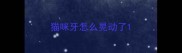 猫咪牙怎么晃动了