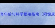 边境牧羊犬最佳生育年龄与科学繁殖指南附健康管理和法律规范