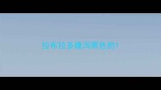 拉布拉多腹泻黑色的