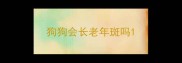 狗狗会长老年斑吗