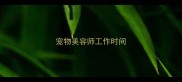 宠物美容师工作时间