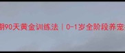 幼犬期90天黄金训练法0-1岁全阶段养宠指南