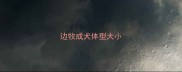 边牧成犬体型大小