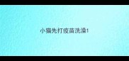 小猫先打疫苗洗澡