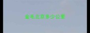 金毛北京多少公里