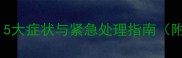 狗狗发烧怎么办5大症状与紧急处理指南附体温测量技巧