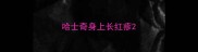 哈士奇身上长红疹