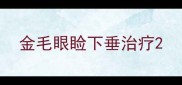 金毛眼睑下垂治疗