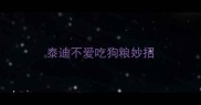 泰迪不爱吃狗粮妙招