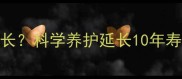 狗狗寿命有多长科学养护延长10年寿命的5大秘诀