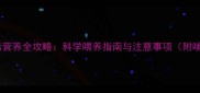 泰迪母犬产后营养全攻略科学喂养指南与注意事项附哺乳期食谱
