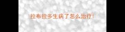 拉布拉多生病了怎么治疗