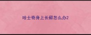 哈士奇身上长蘚怎么办