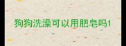 狗狗洗澡可以用肥皂吗