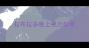 拉布拉多晚上视力如何