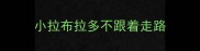 小拉布拉多不跟着走路