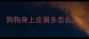 狗狗身上皮屑多怎么办