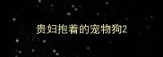 贵妇抱着的宠物狗