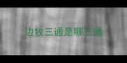 边牧三通是哪三通