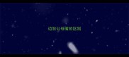 边牧公母嘴的区别