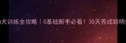 拉布拉多幼犬训练全攻略0基础新手必看30天养成聪明好习惯的秘诀