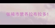 张掖市禁养拉布拉多